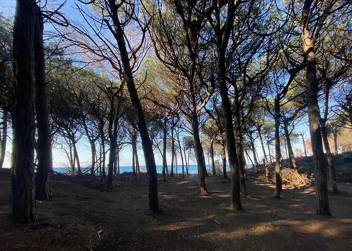 Appartamento Acquamarina