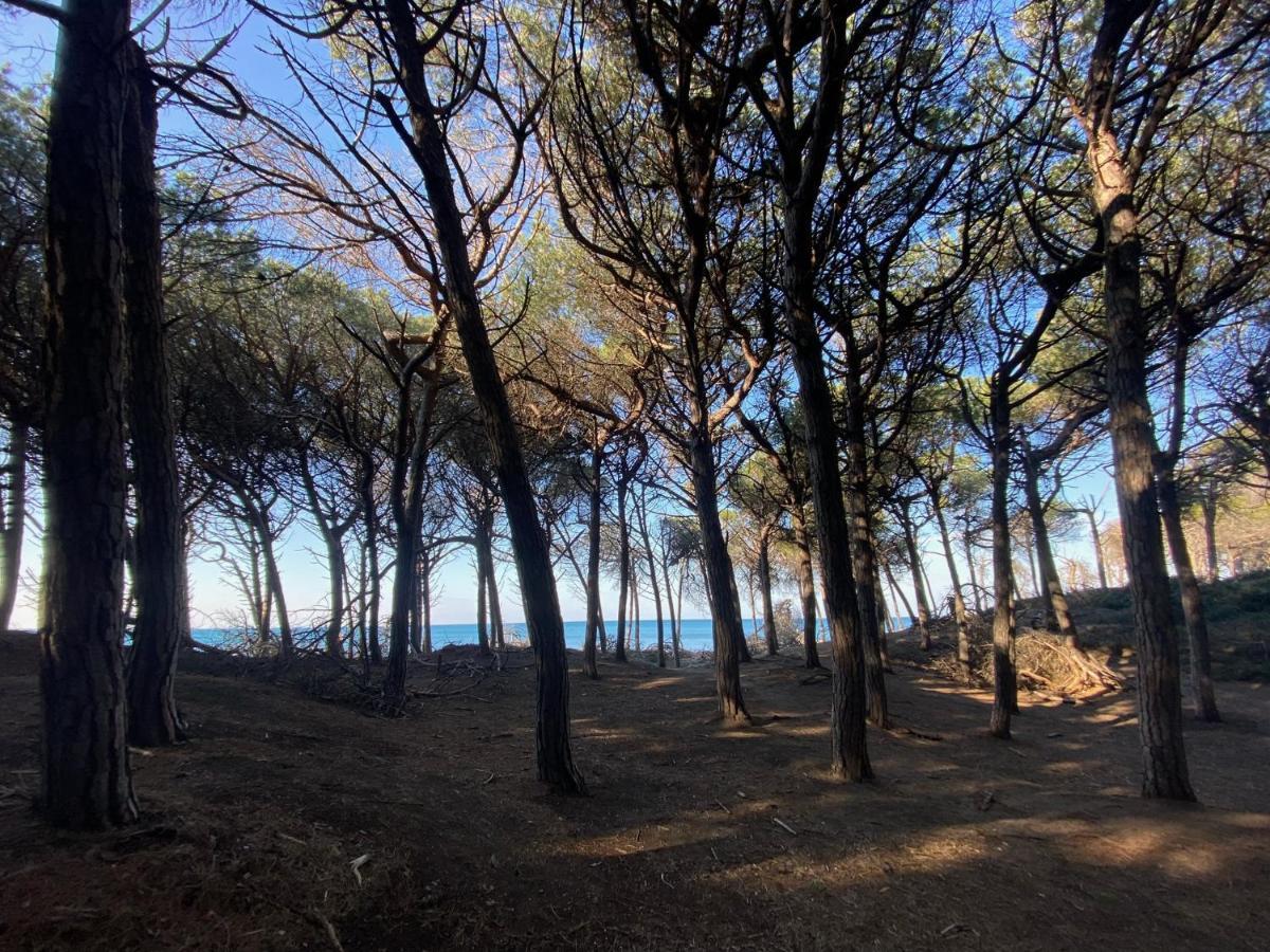 Acquamarina